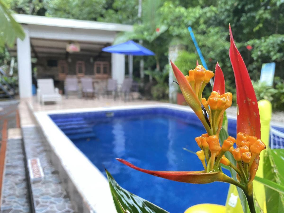 La Posada Jungle Hotel Manuel Antonio Eksteriør billede