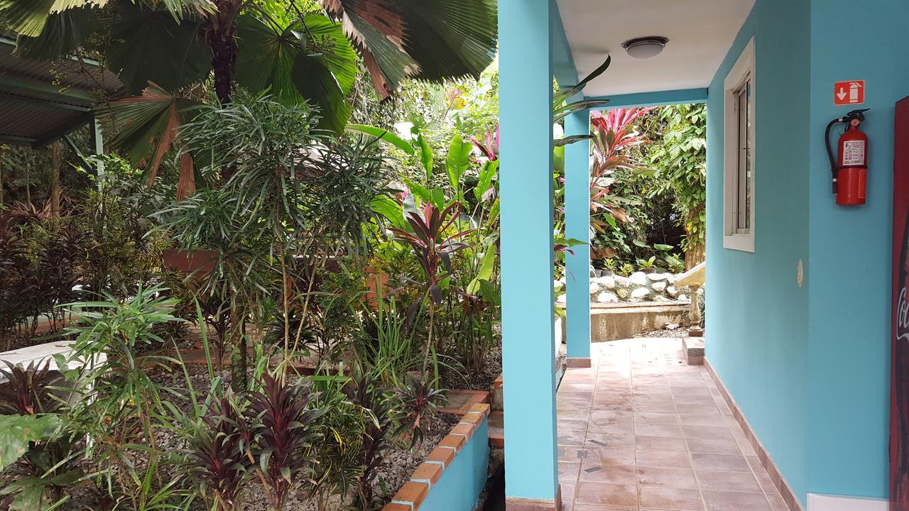 La Posada Jungle Hotel Manuel Antonio Eksteriør billede