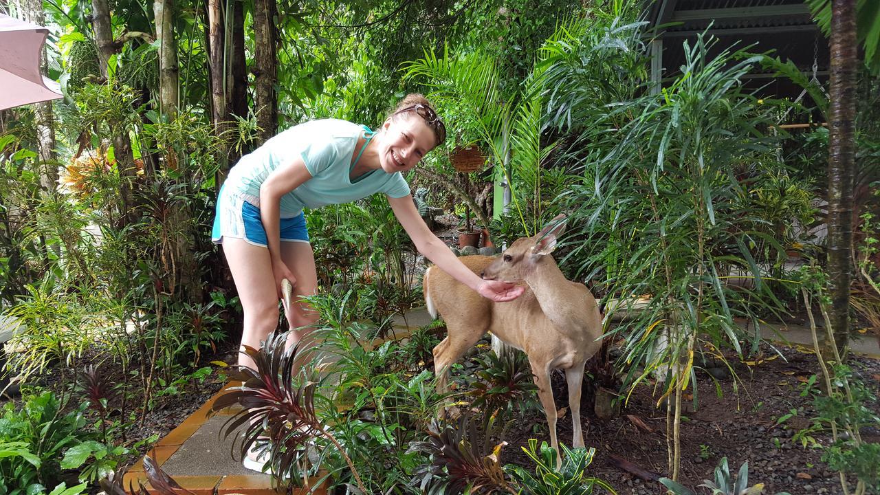 La Posada Jungle Hotel Manuel Antonio Eksteriør billede