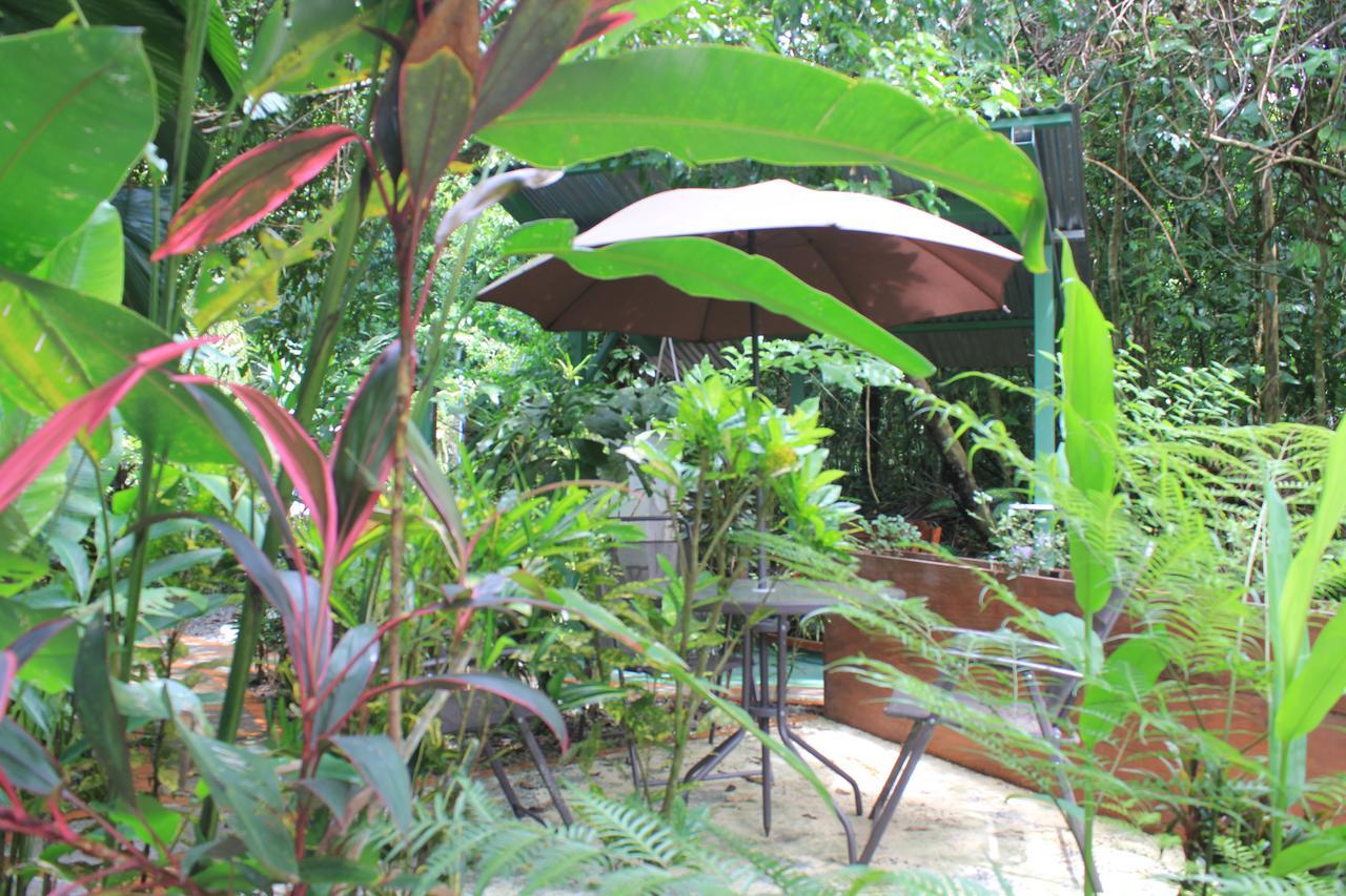 La Posada Jungle Hotel Manuel Antonio Eksteriør billede