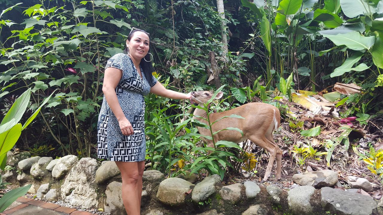 La Posada Jungle Hotel Manuel Antonio Eksteriør billede